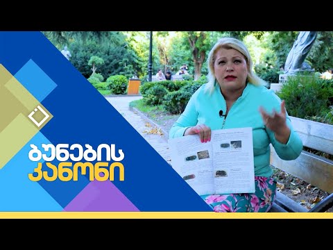 ტურისტული ნაკადები დაცულ ტერიტორიებზე | ბუნების კანონი | 10.08.2023